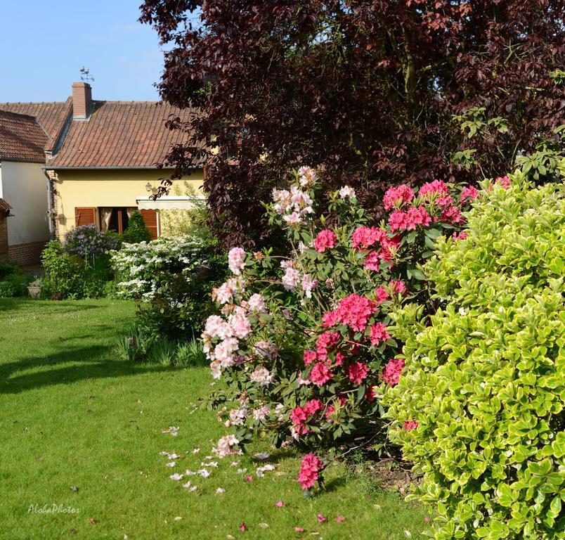 Gite Des Hortillonnages Camon  Exterior photo