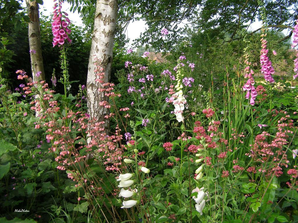 Gite Des Hortillonnages Camon  Exterior photo